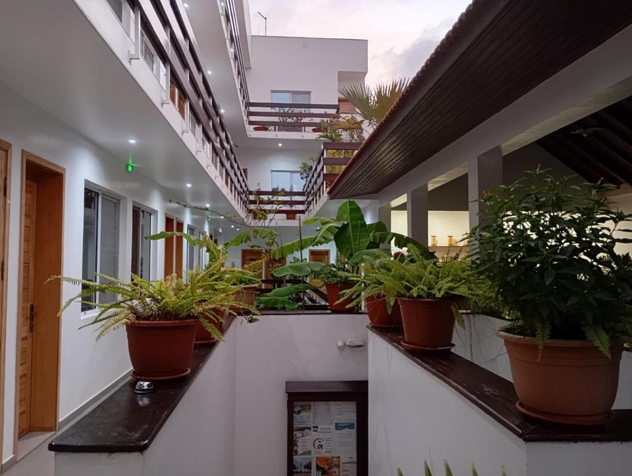 Hotel Viajante 塔拉法尔 外观 照片